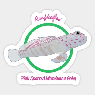 Pink Spotted Watchman Goby Sticker